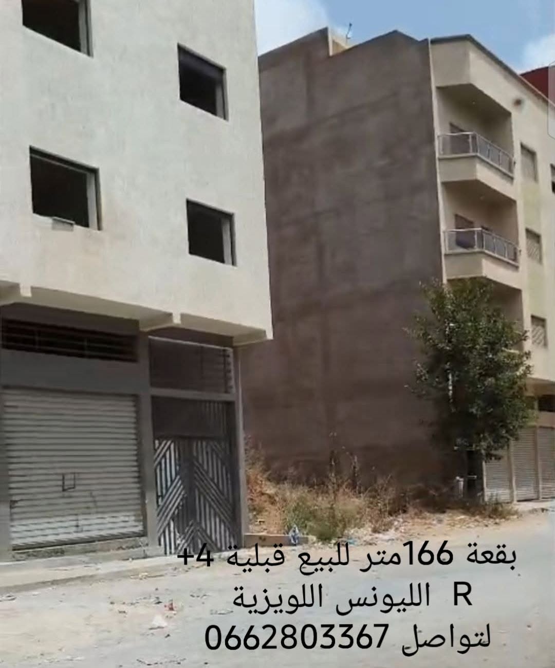 المحمدية