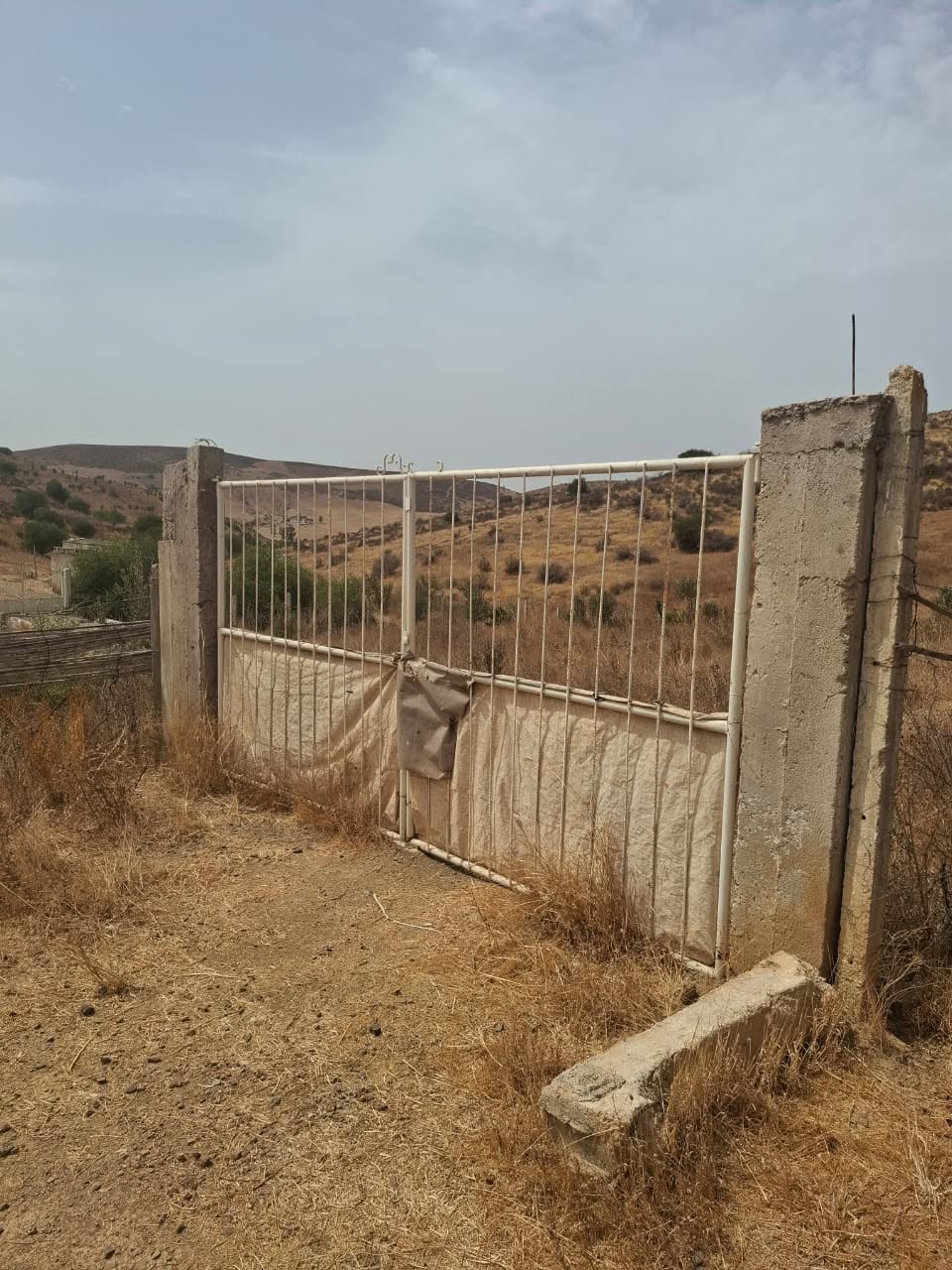 سيدي بطاش · أرض · للبيع