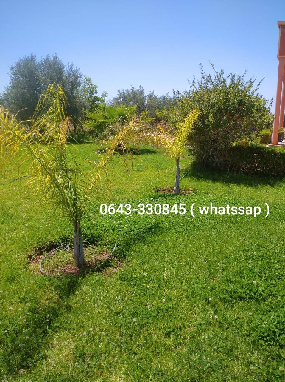 مراكش · مزرعة · للبيع
