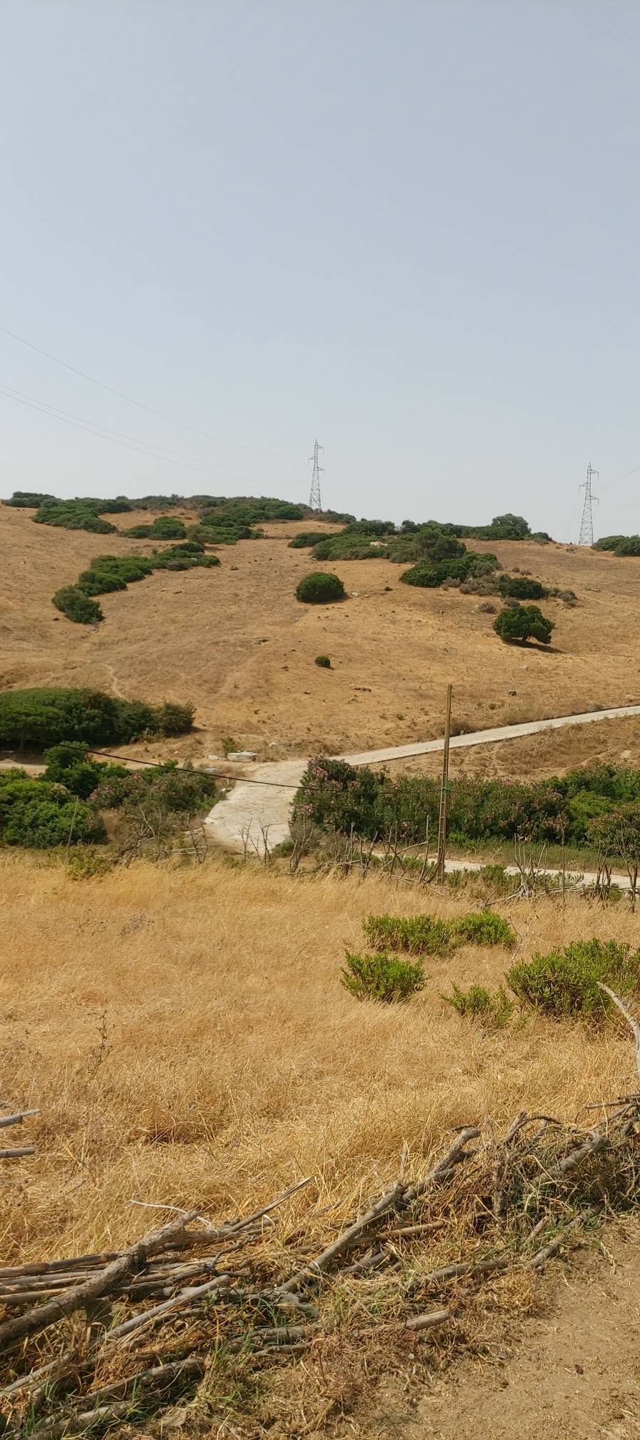 القصر الصغير · Terrain · À vendre