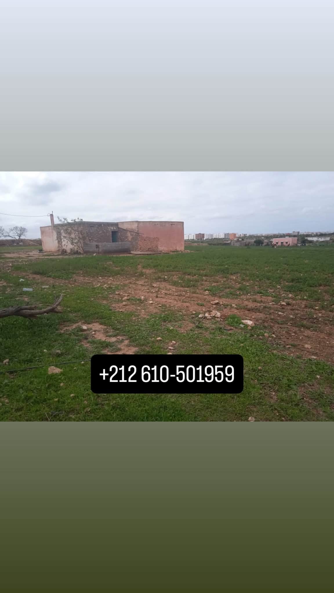 El Jadida · Terrain · À vendre
