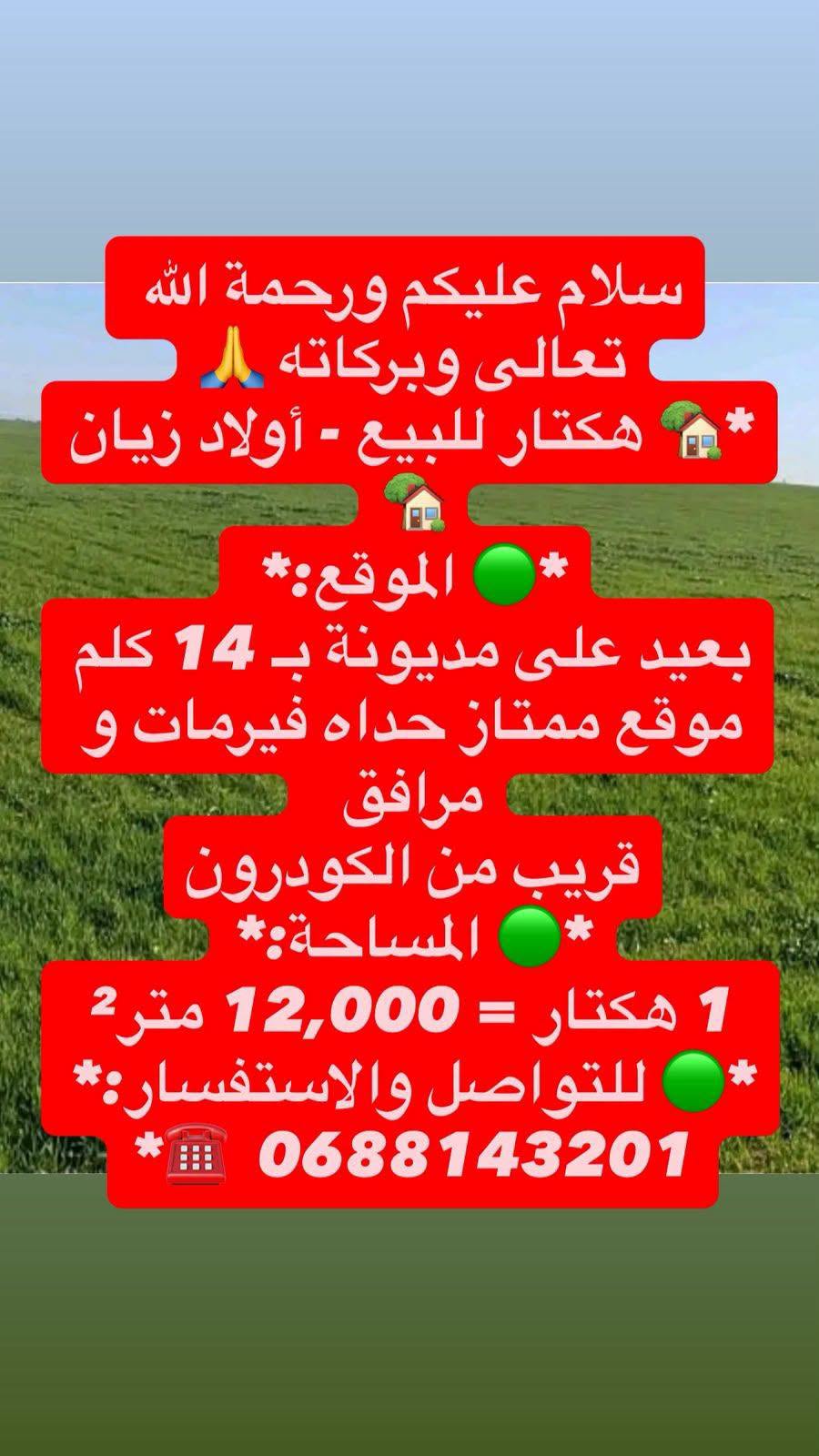 مédiouna · أرض · للبيع