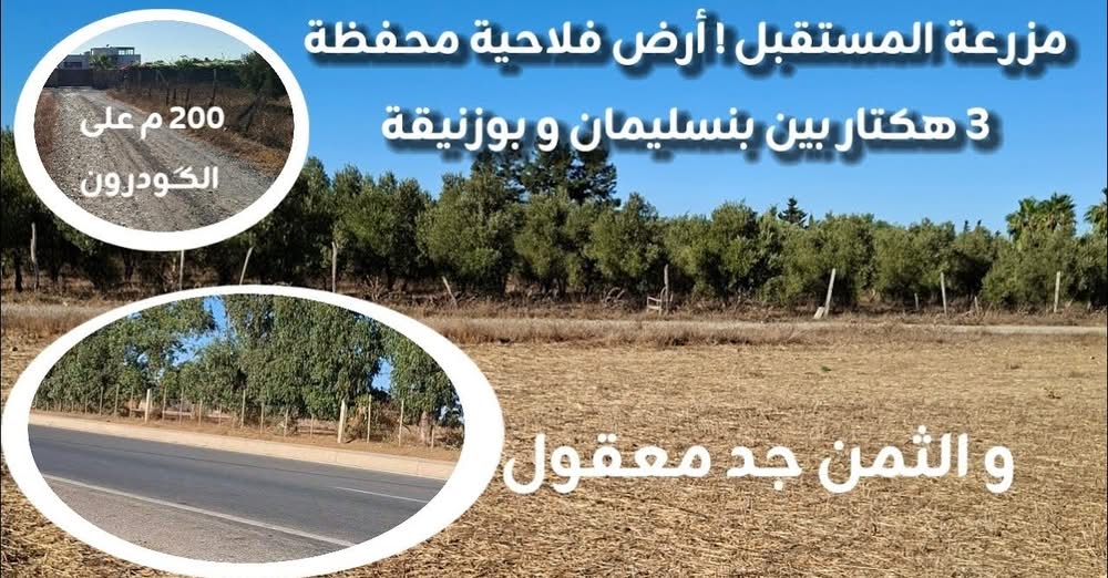 بنسليمان · أرض · للبيع